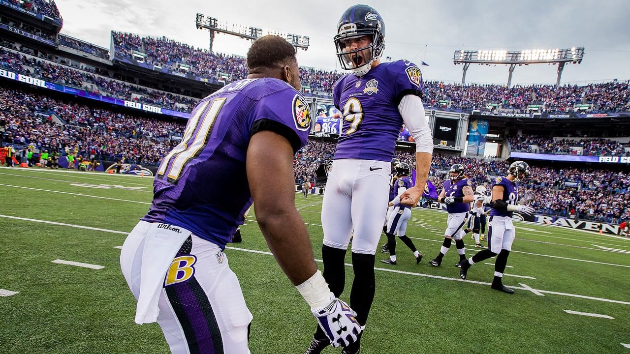 65 Amazing Ravens Photos From 2015