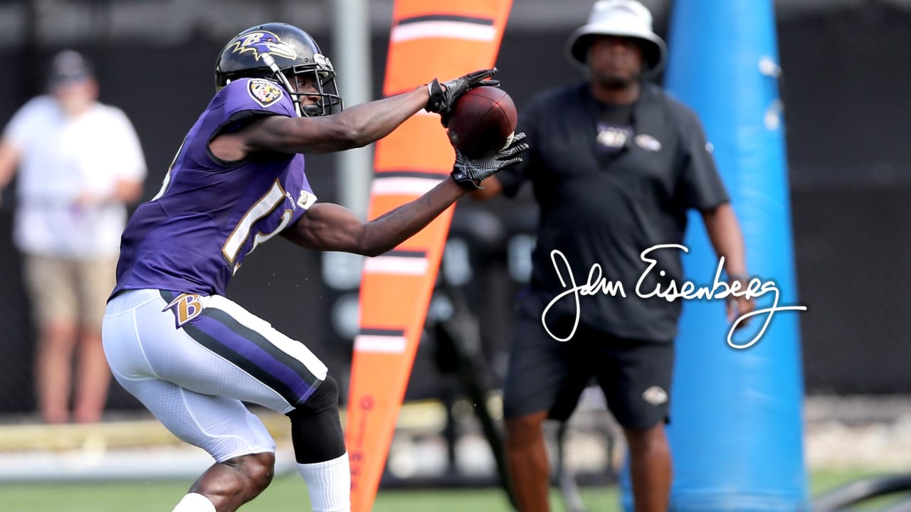 AFC North: Pre-camp look at the Baltimore Ravens - Steel City