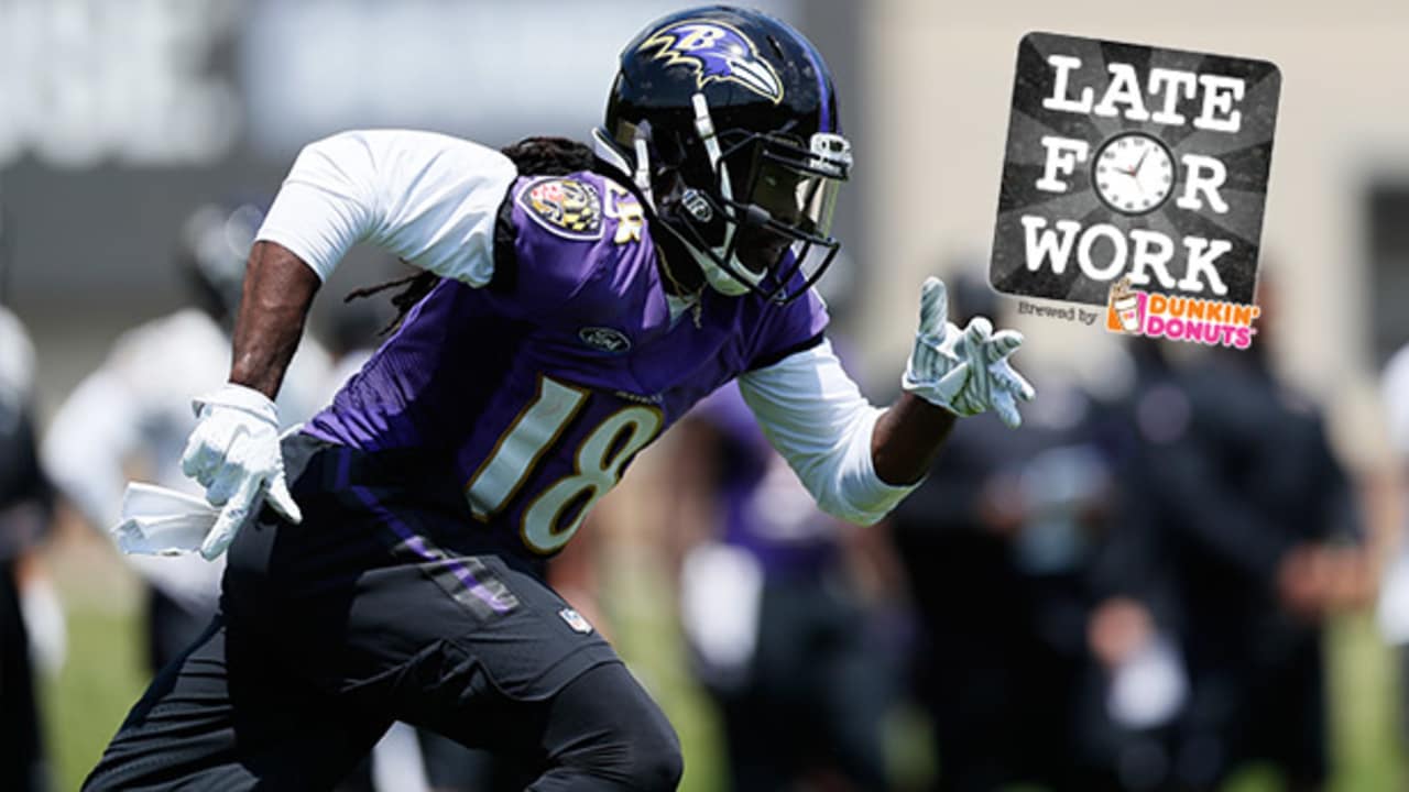 Ravens WR Breshad Perriman 'expecting a huge year'