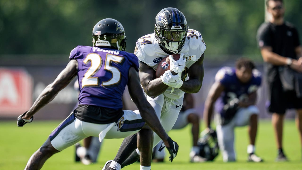 Ty Son Williams Baltimore Ravens Nfl Afc