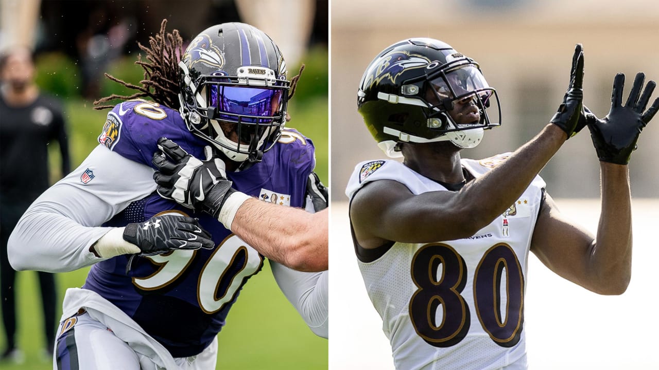 likely 80 ravens