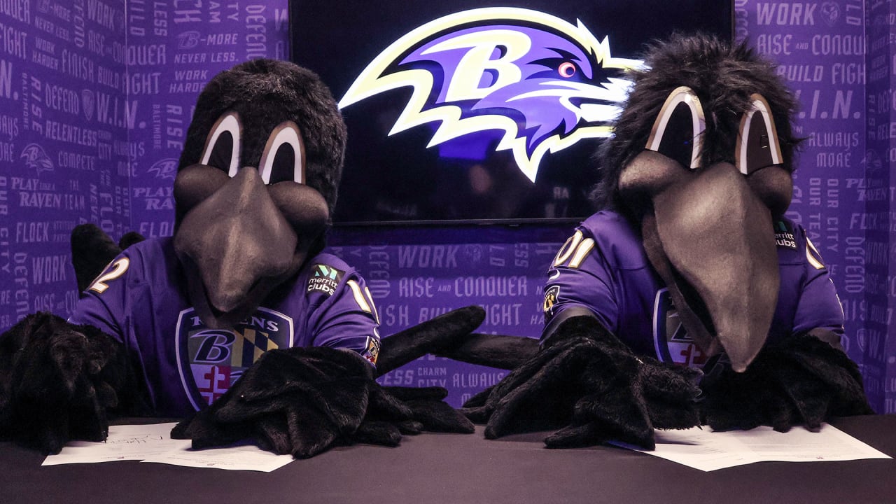 Ravens Mascots  Baltimore Ravens –