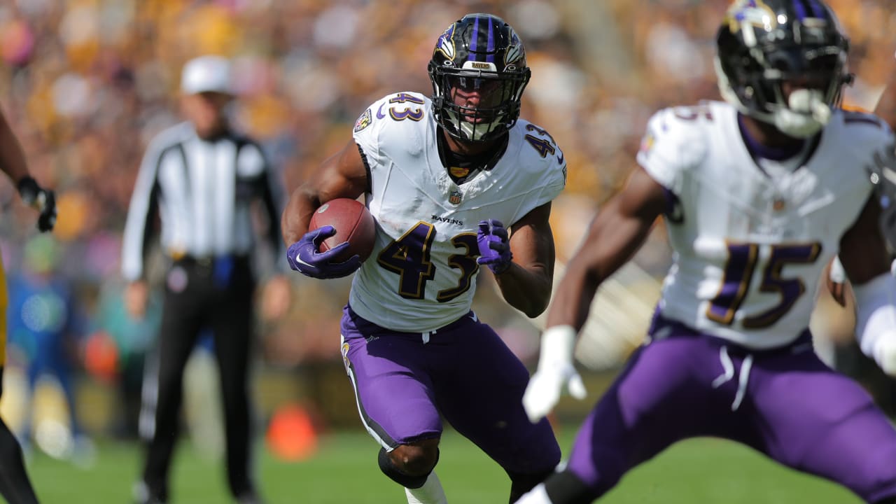 Minnesota Vikings vs. Baltimore Ravens highlights