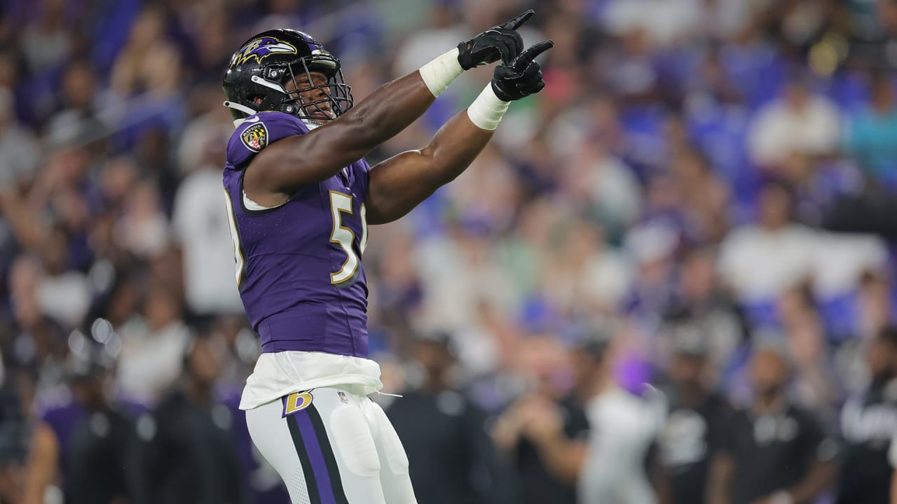 Hometown Kid Malik Hamm Gets Sack at M&T Bank Stadium | Ravens-Eagles ...