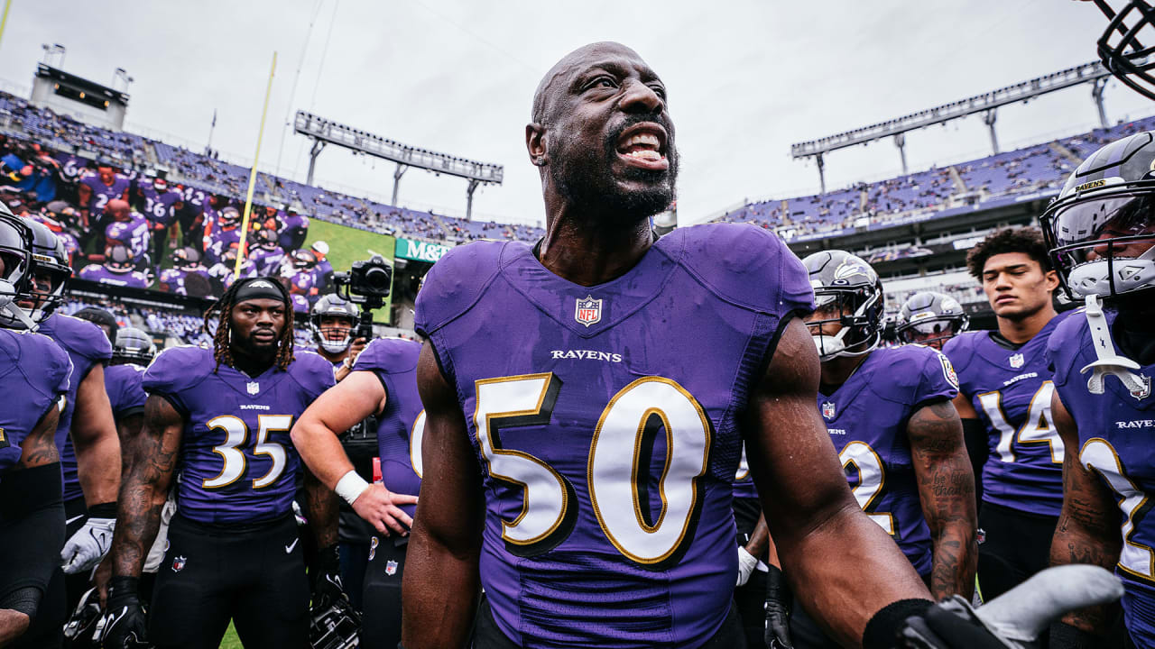 Browns Free Agency: Ravens Pending Free Agents Include Defensive Talent -  Dawgs By Nature