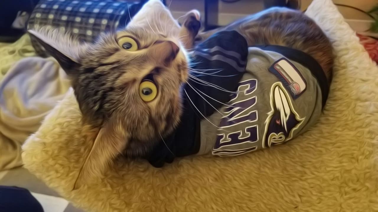 National Pet Day Photos From Cute & Furry Ravens Fans