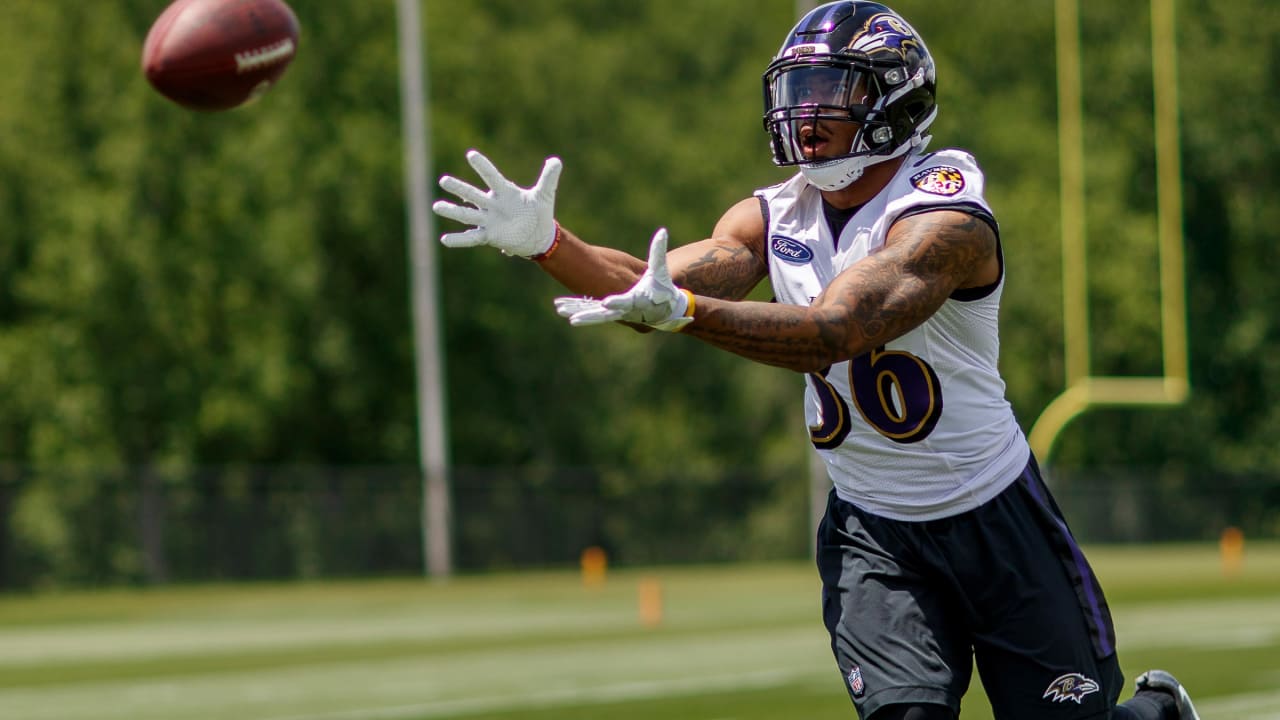 Baltimore Ravens strong safety Chuck Clark runs in action during a