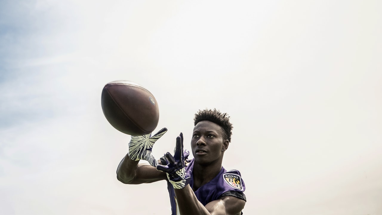 Baltimore Ravens training camp schedule, roster, storylines and