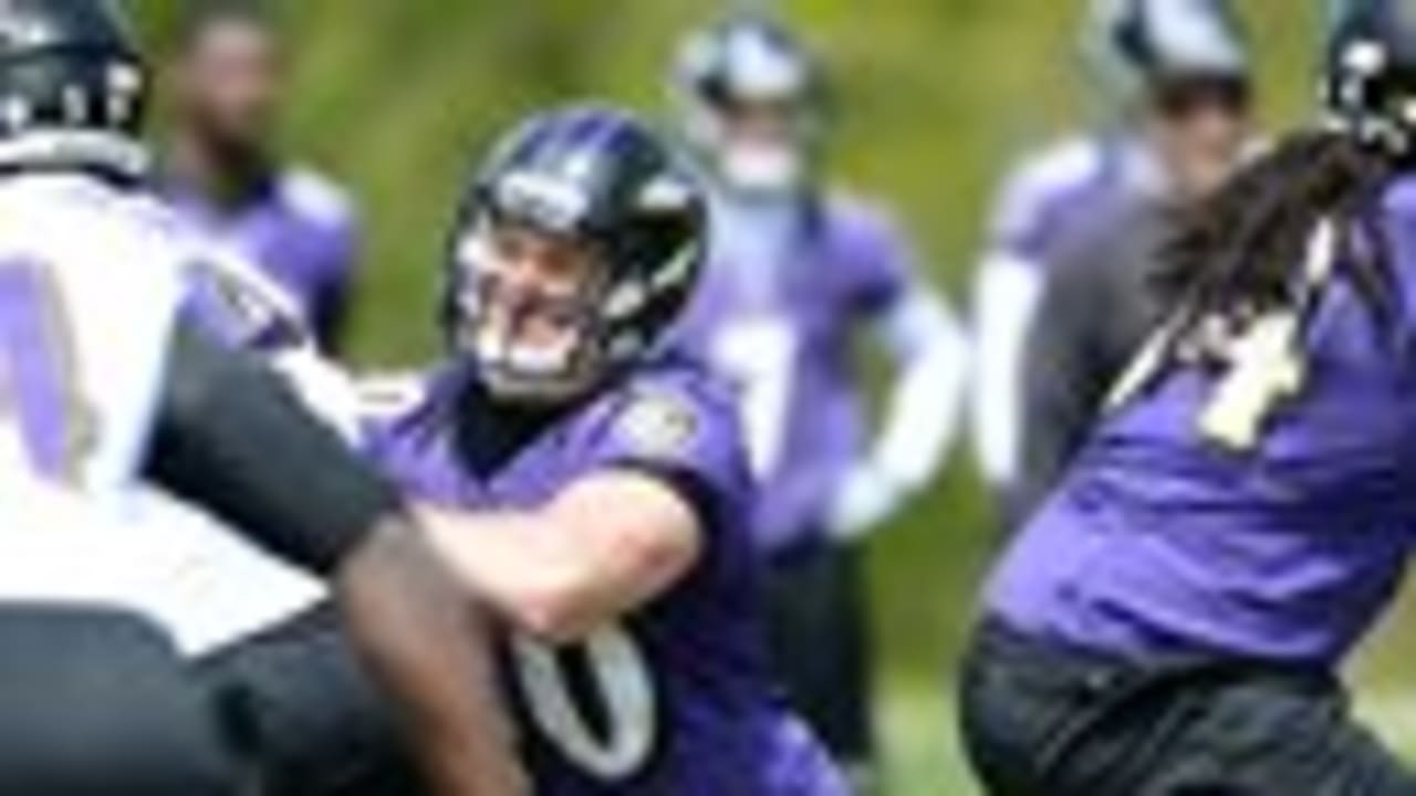 Ravens Sign 14 Undrafted Free Agents