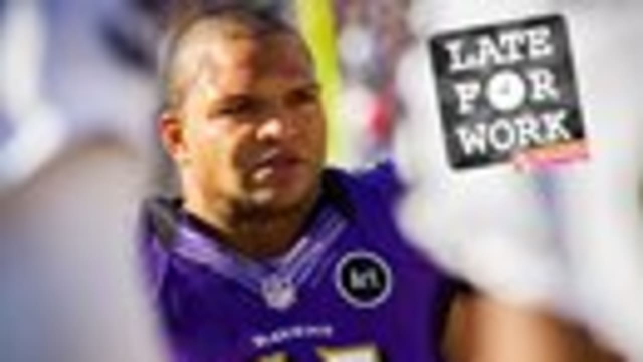 Baltimore Ravens LB Ayanbadejo, other NFL players support gay marriage