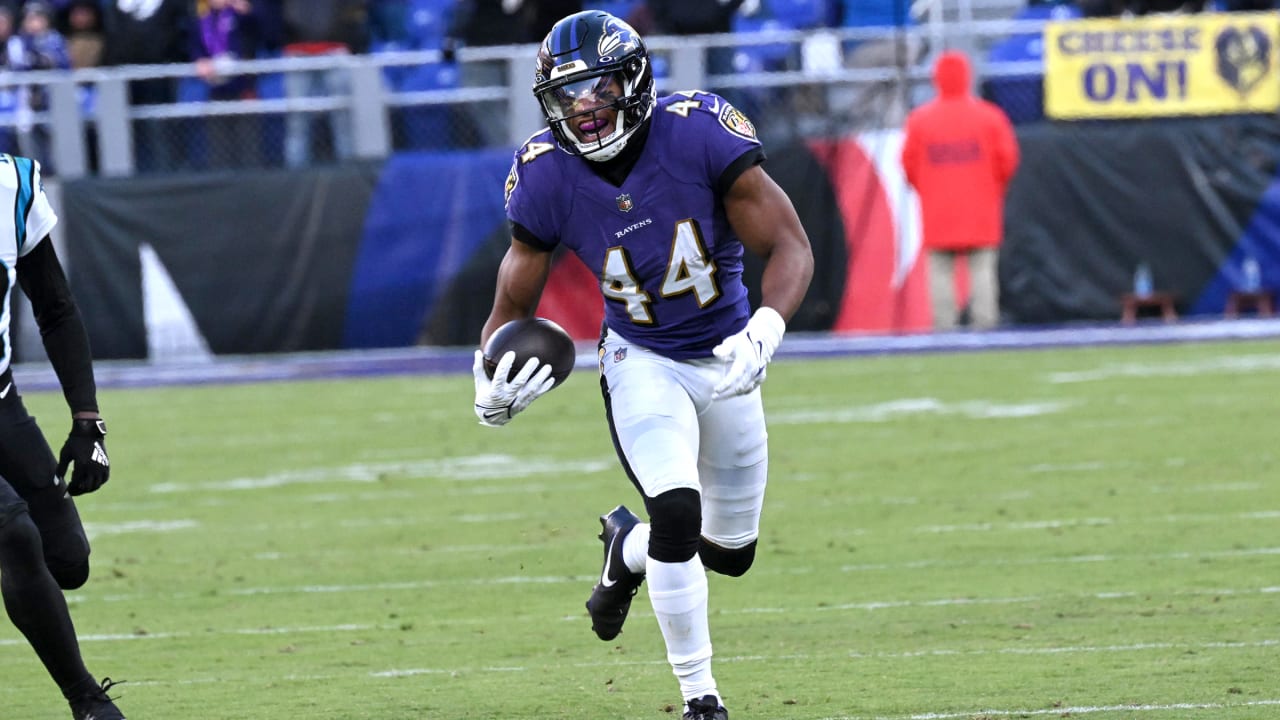 Ravens Are Unanimous Pick vs. Panthers