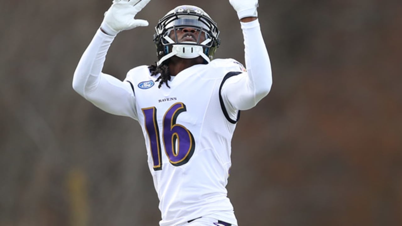 Ravens Activate Wide Receiver Quincy Adeboyejo to 53-Man Roster