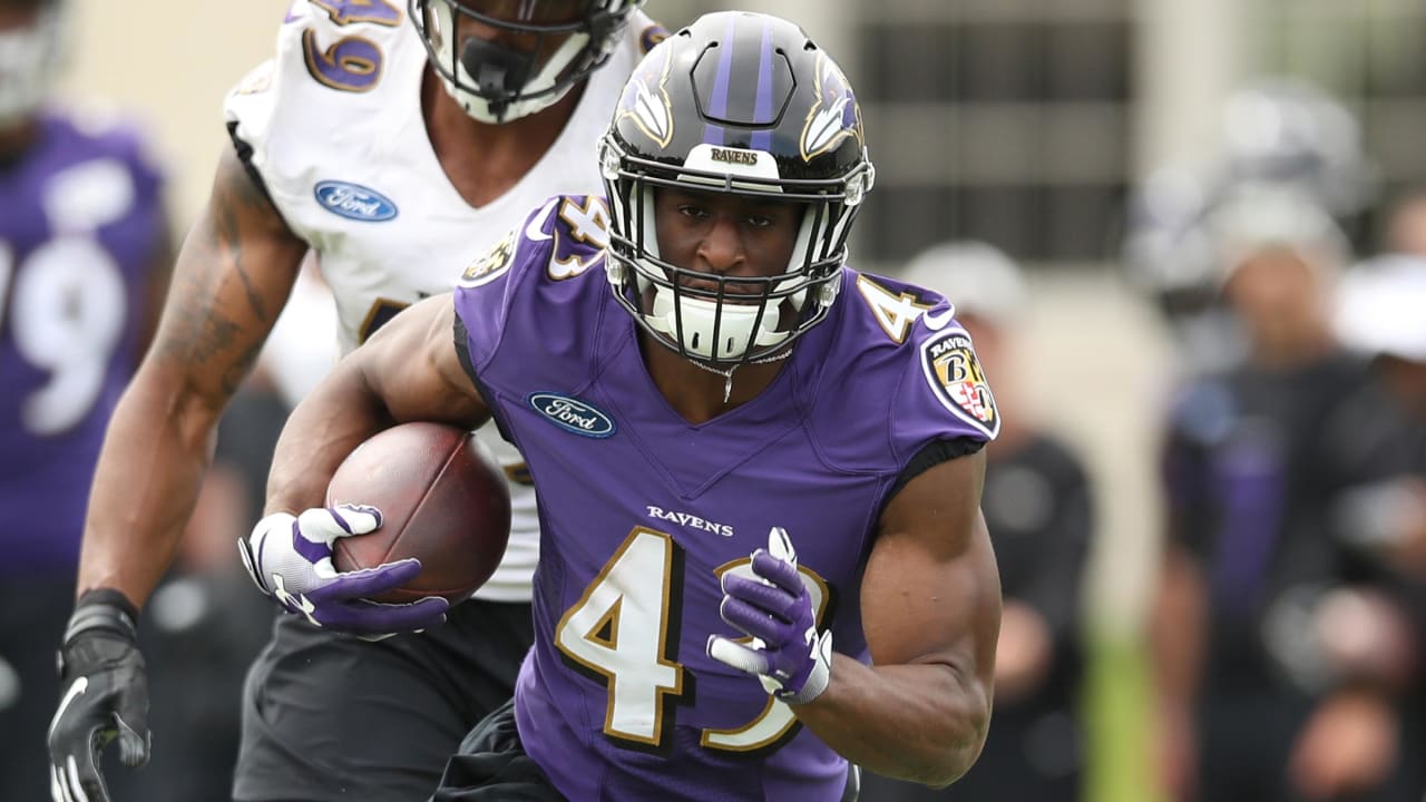 Training Camp Position Breakdown: Running Back