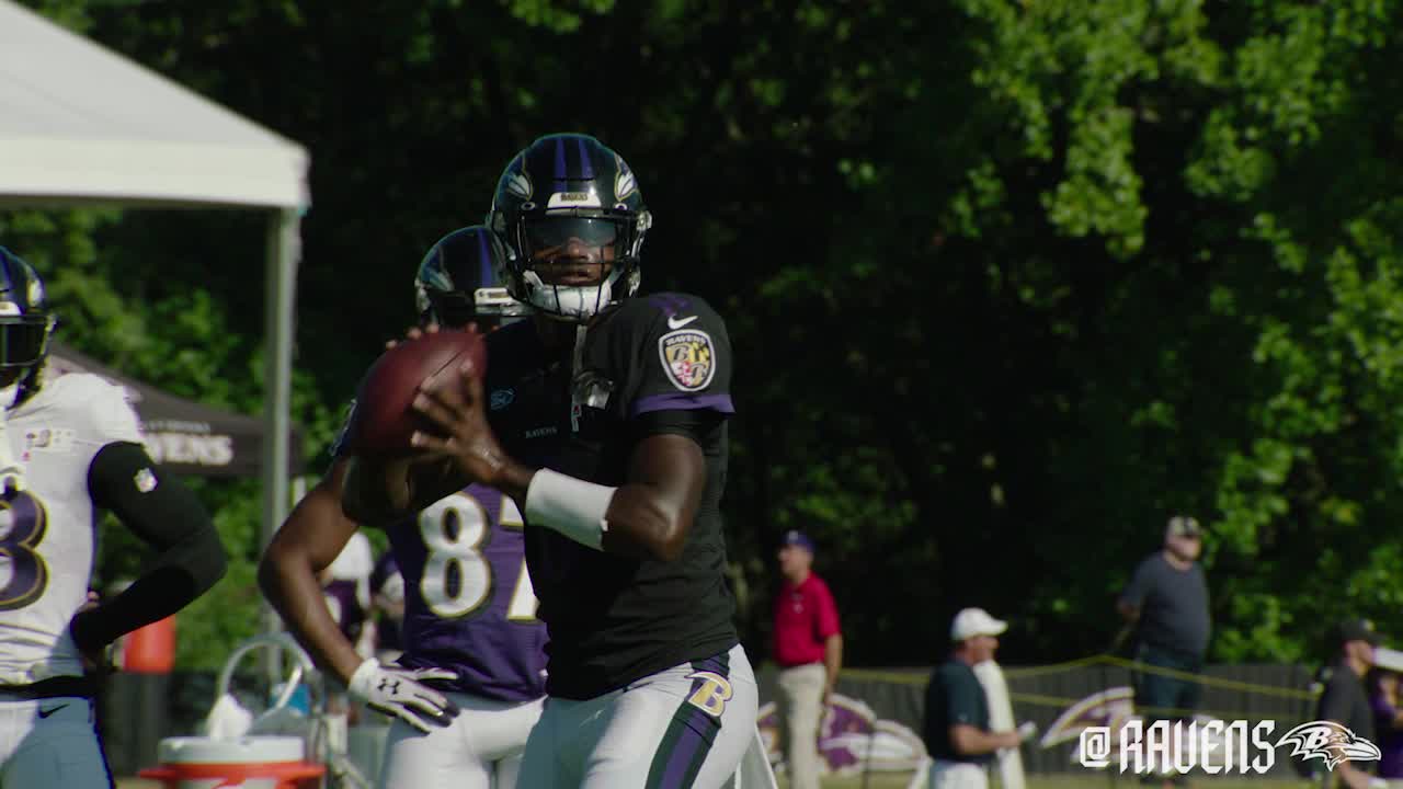 Ravens WR Miles Boykin Finding Creative Ways To Stay In Shape, Help During  Crisis - PressBox