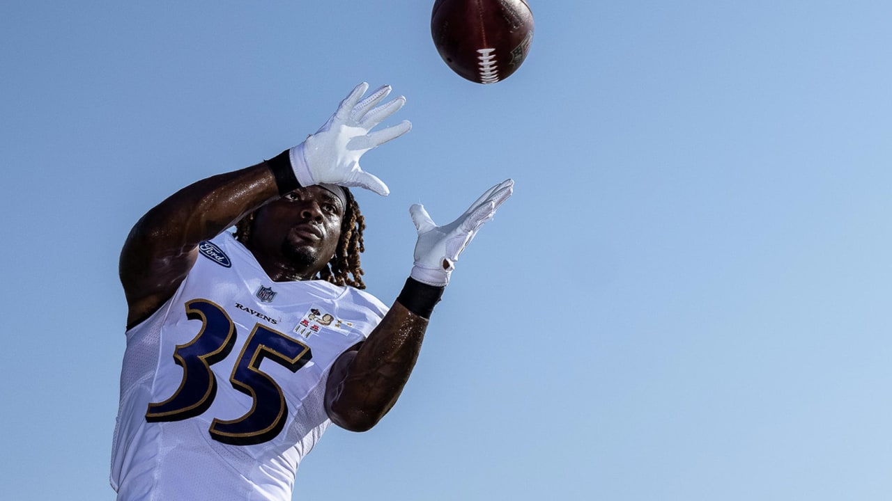 J.K. Dobbins, Gus Edwards, Baltimore Ravens, NFL, AFC,