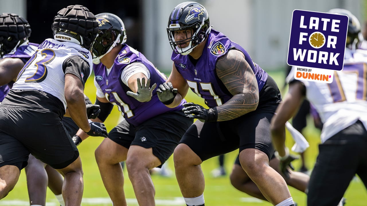 Stock Rising, Stock Falling Ahead Of Ravens Minicamp - PressBox