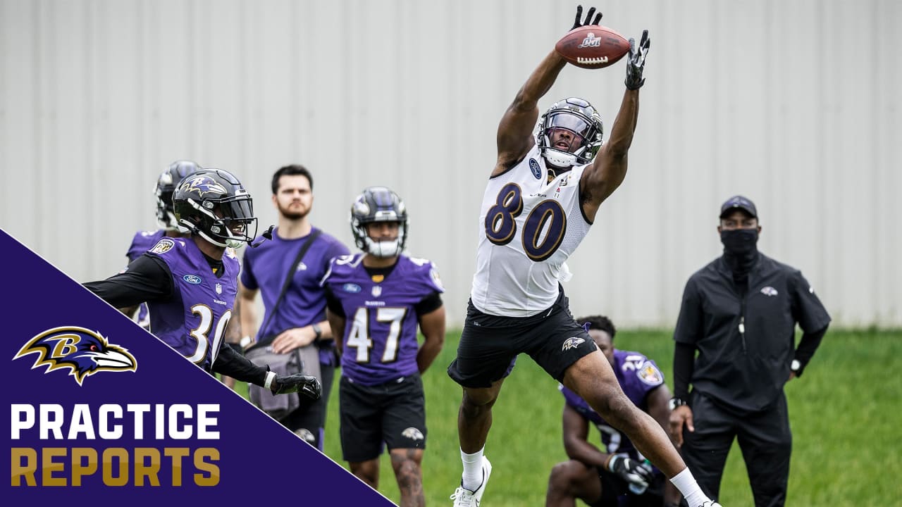 11 Baltimore Ravens players to watch at OTAs this week, and one question  for each - Baltimore Beatdown