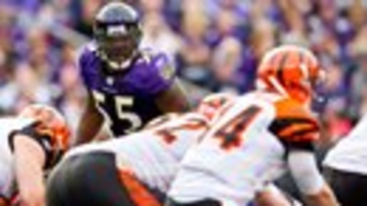 Game Preview: Ravens Vs. Bengals