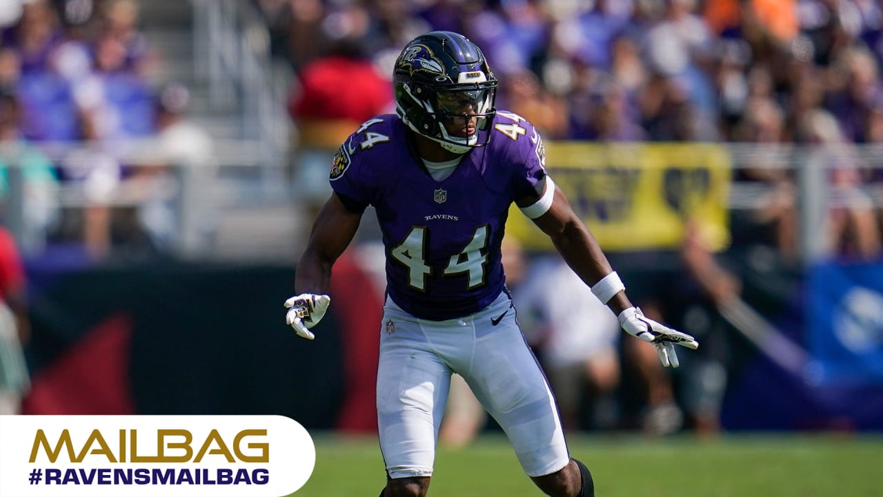 Ravens 2023 season preview: Defense counting on young pass rushers Odafe  Oweh and David Ojabo to turn potential into production