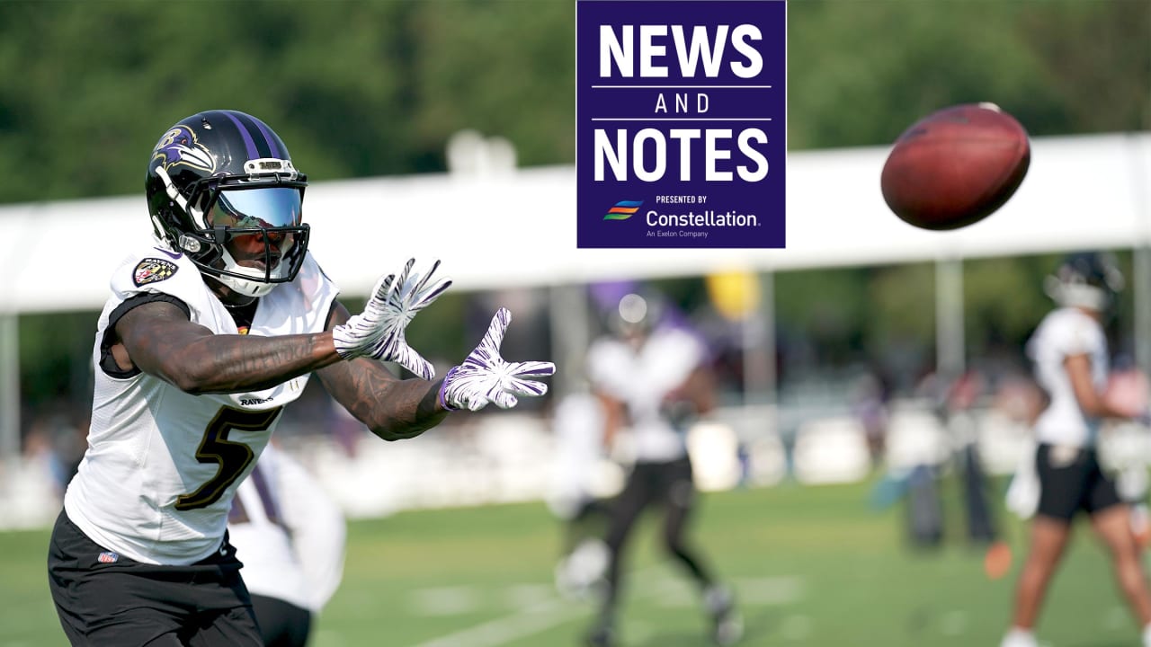 Ravens HC John Harbaugh gives injury update on WR Tylan Wallace