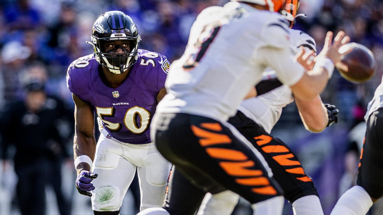 Ravens Re-Sign QB Josh Johnson, Place WR Tylan Wallace On IR