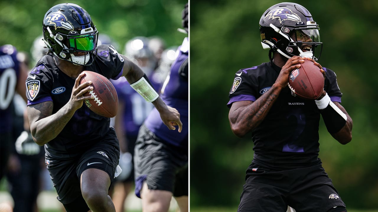 Inside Baltimore Ravens NFL training camp with Guelph rookie