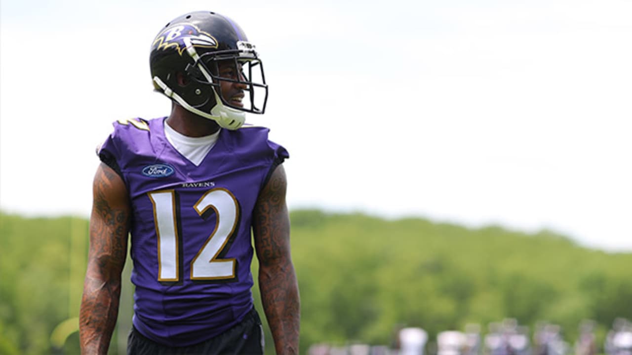 mike wallace nfl