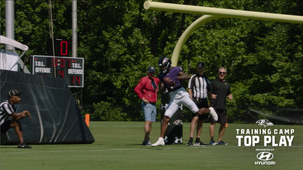 Laquon Treadwell Hauls in One-Handed Touchdown