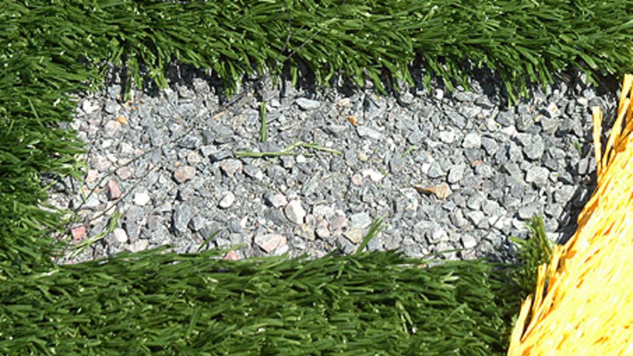 Baltimore Ravens' New Grass Field Demands the Best 