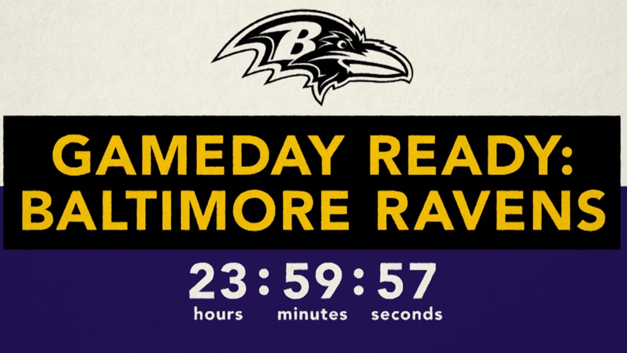 baltimore ravens game day