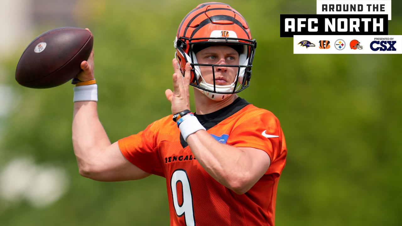 Joe Burrow Injury Update: Latest on Cincinnati Bengals QB After Loss to  Ravens