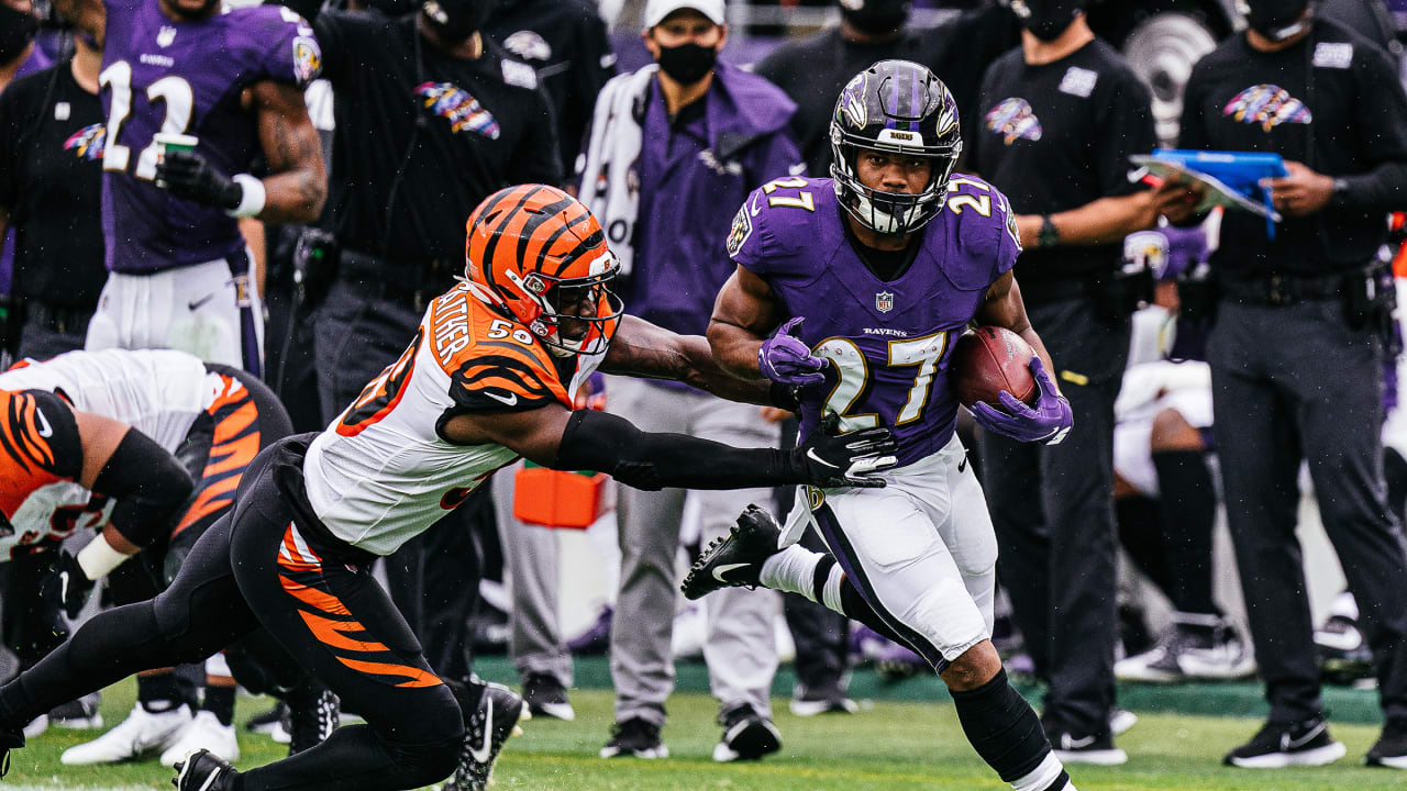 Everything You Need to Know: Ravens vs. Bengals
