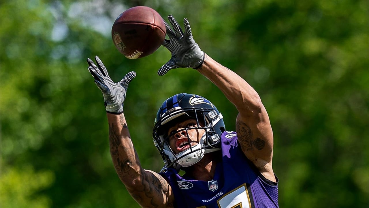 Baltimore Ravens safety Ar'Darius Washington (29) in action during the  first half of a NFL preseason football game against the Washington  Commanders, Saturday, Aug 27, 2022, in Baltimore. (AP Photo/Terrance  Williams Stock