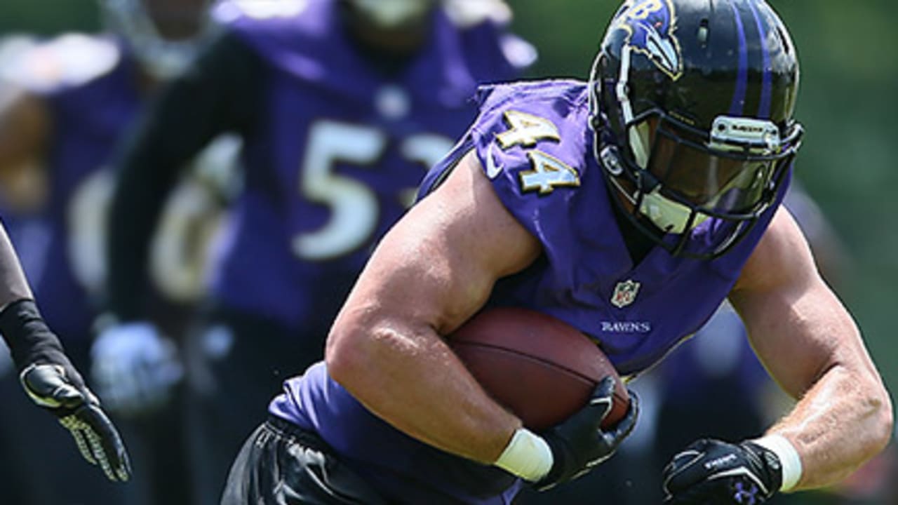 Fullback Kyle Juszczyk Could Catch 40-50 Passes