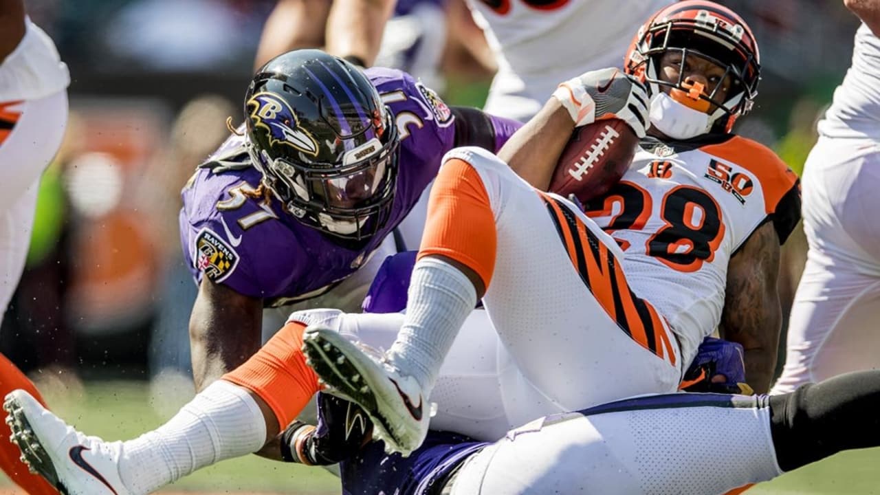 Ravens Vs. Bengals: Win And Get In