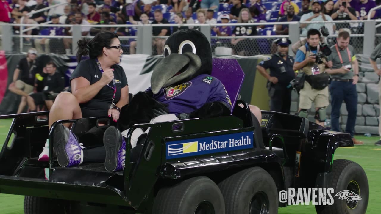 Ravens mascot Poe back on the field after preseason drumstick