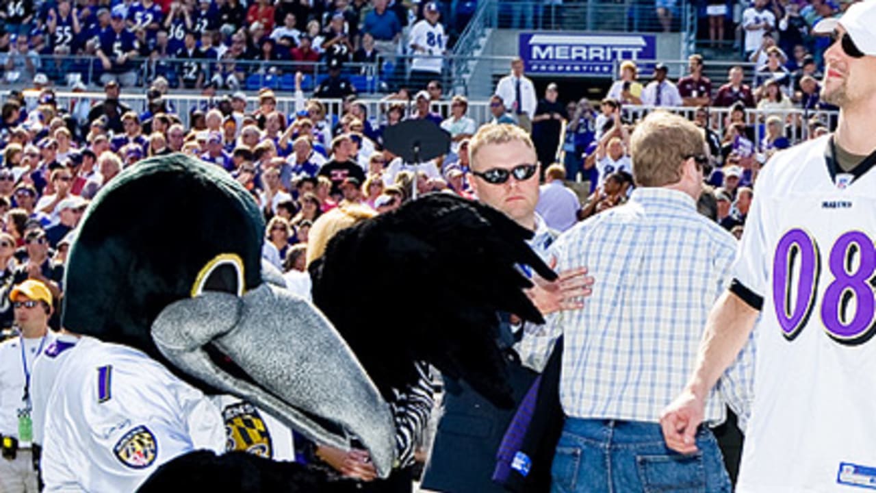 John Harbaugh confirms Ravens mascot Poe is out for season with