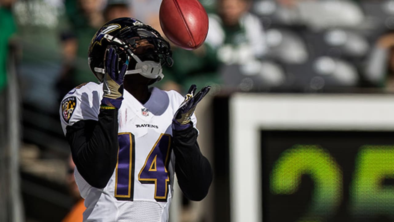 Ravens Release Veteran Returner Devin Hester