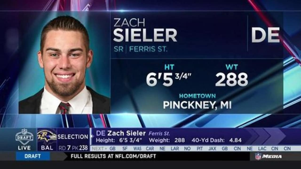 Reaction to Drafting DL Zach Sieler: 'Ravens Got a Steal