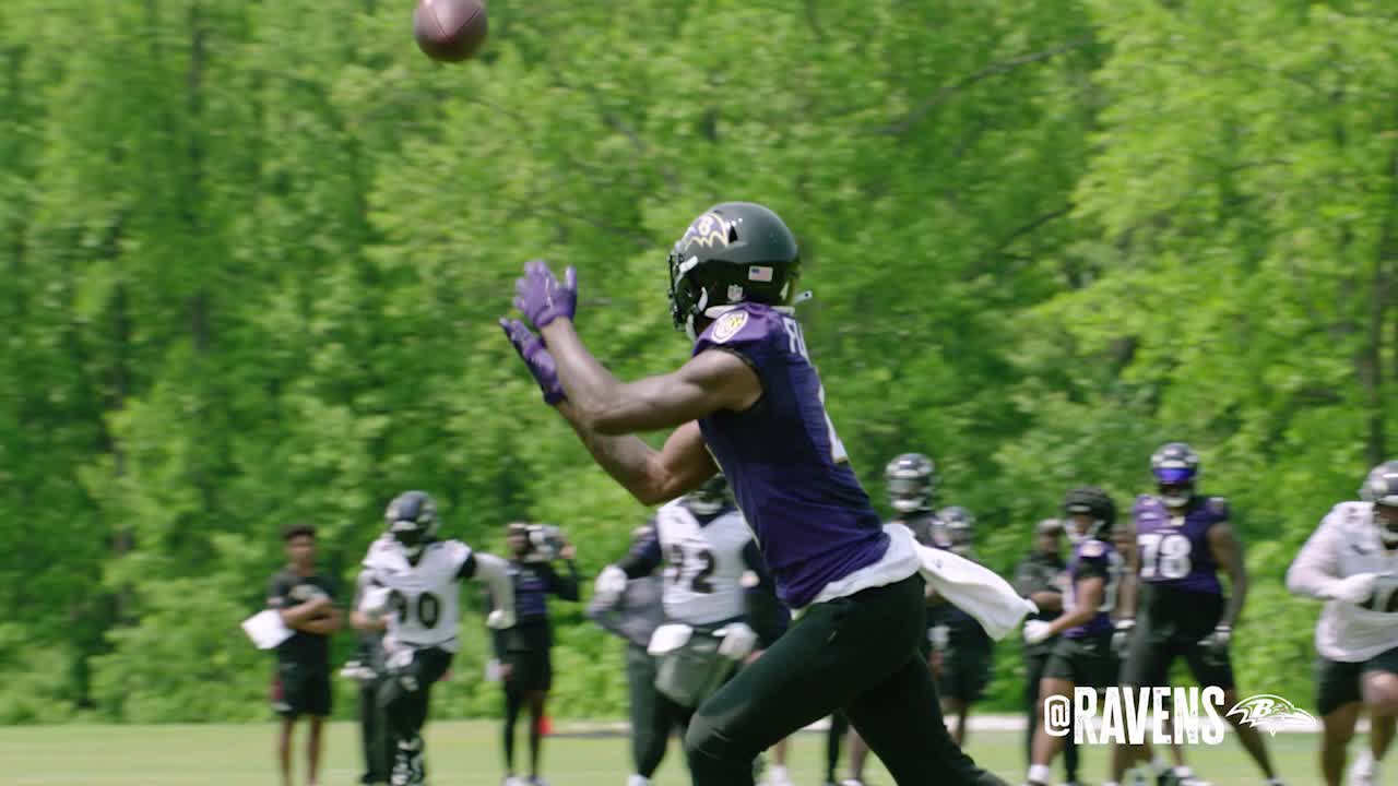 Highlights From Ravens' First OTAs