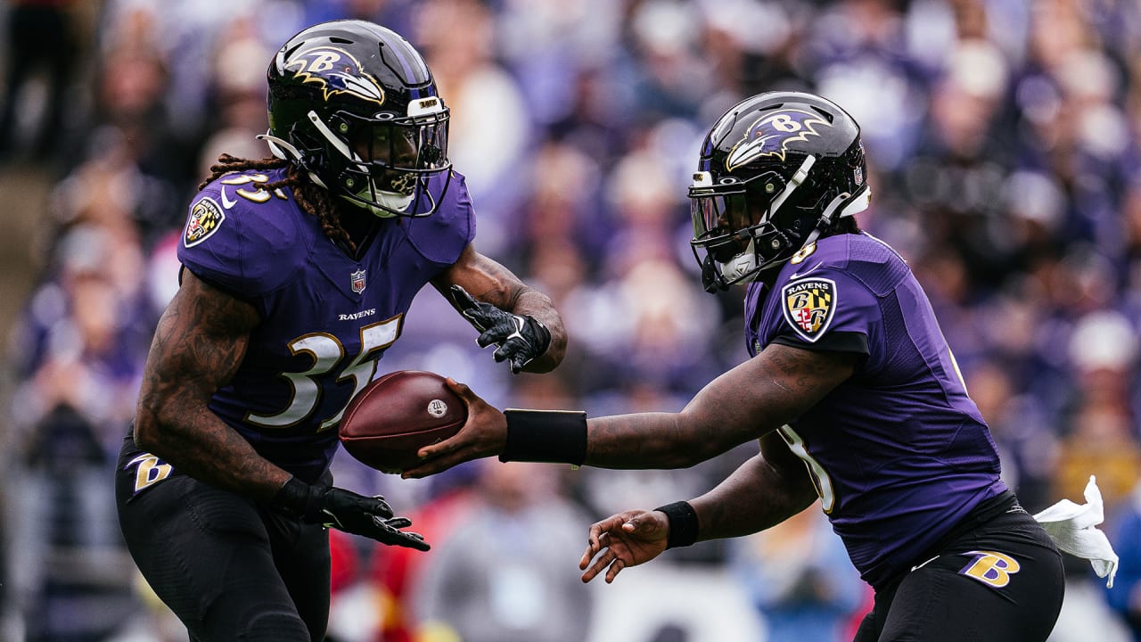 ravens american football