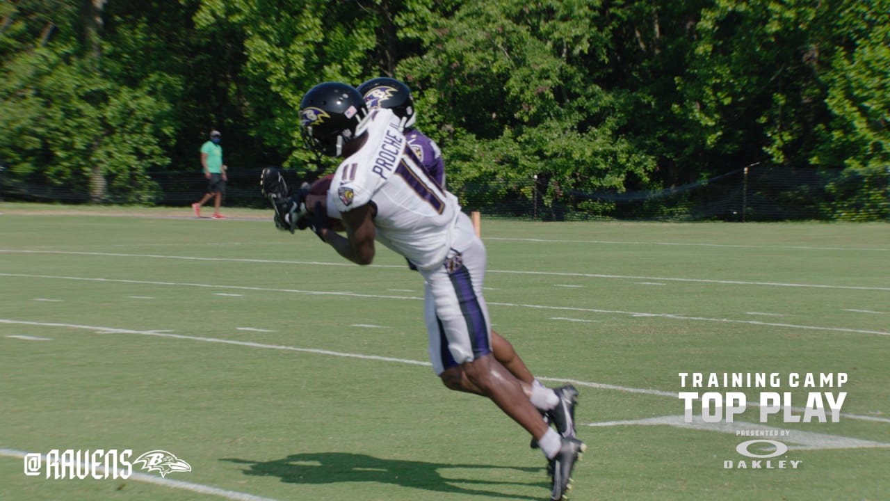 Ravens WR James Proche Takes Reps As Holder - Sports Illustrated Baltimore  Ravens News, Analysis and More