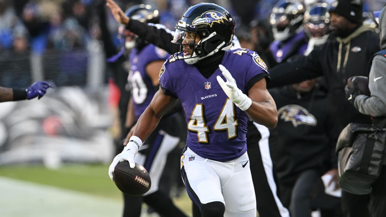 Previewing the Ravens vs. Panthers Week 11 showdown - Baltimore Beatdown