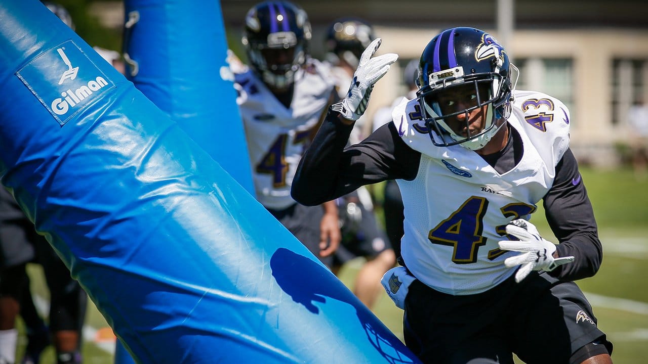 Best Photos From Ravens Minicamp