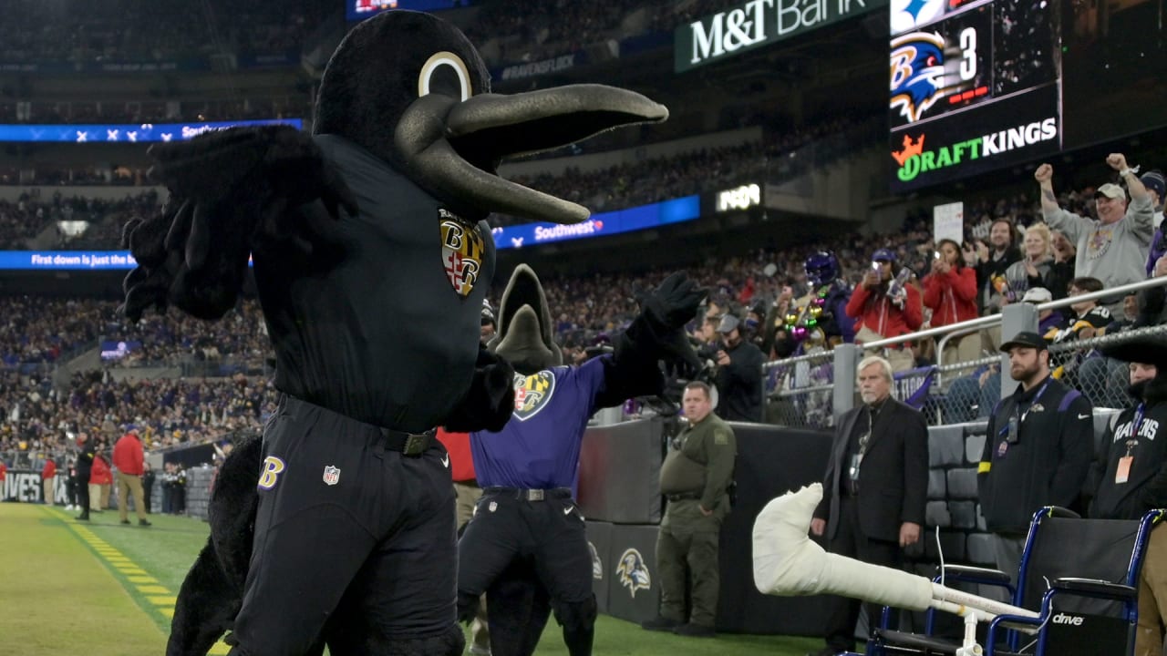 Ravens' mascot. Poe, carted off field at halftime after being hurt