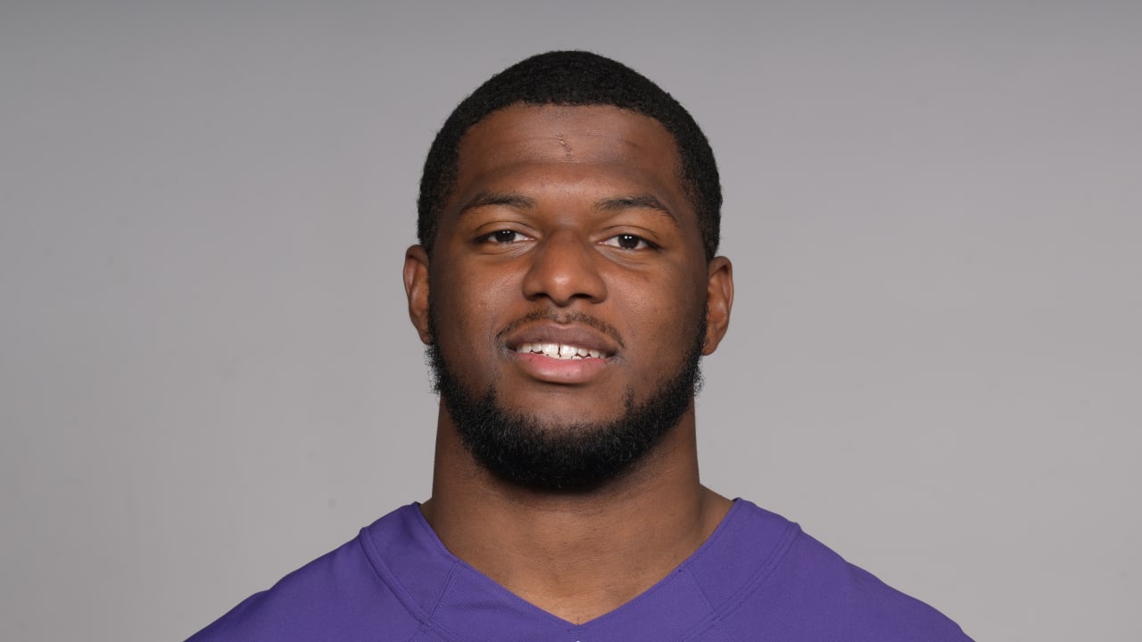 Malik Hamm makes Baltimore Ravens' NFL roster; played collegiate