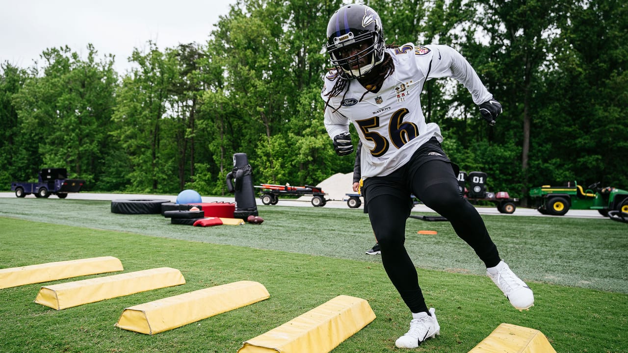 Ravens Linebacker Josh Bynes Thriving In Familiar Surroundings - PressBox