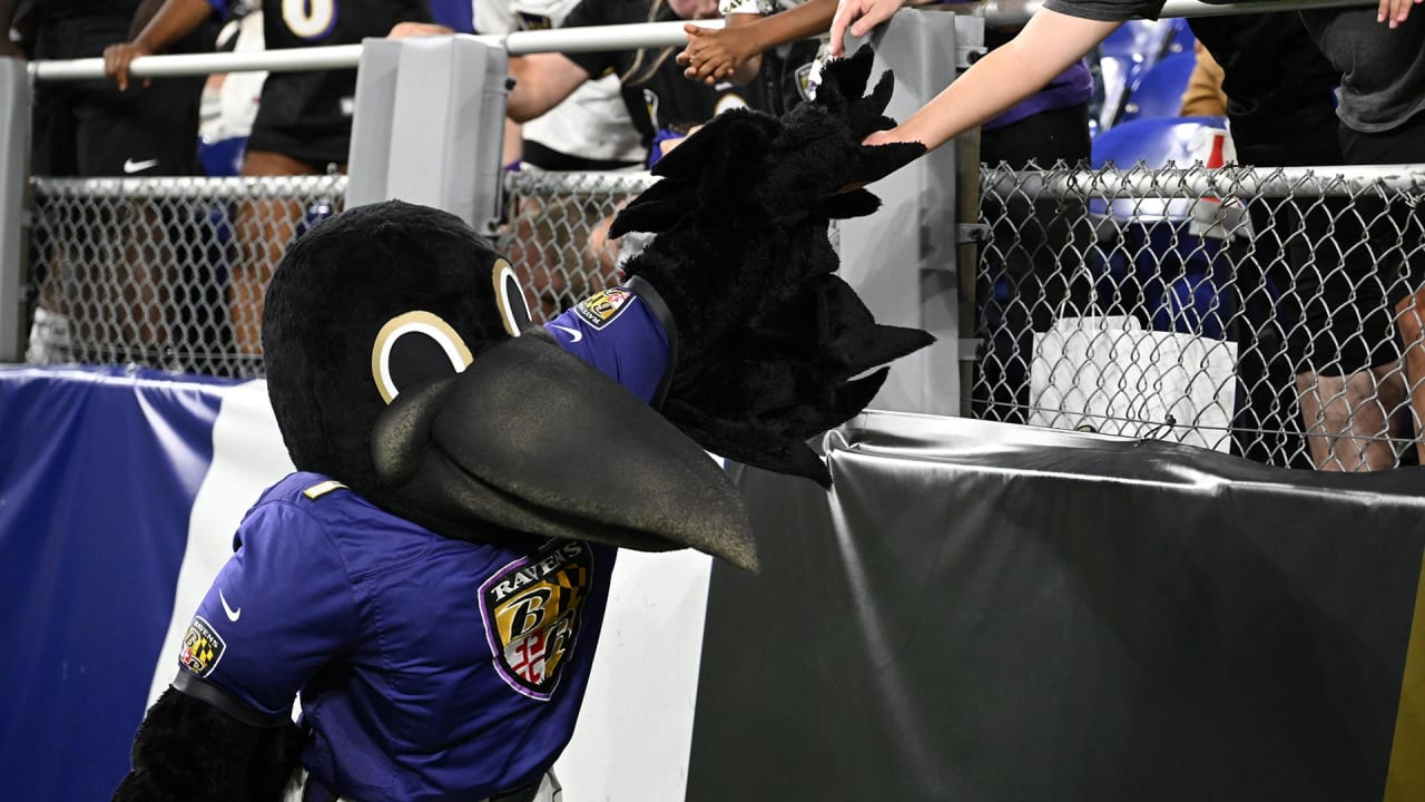 Ravens' mascot Poe recovering after injury during halftime event Saturday