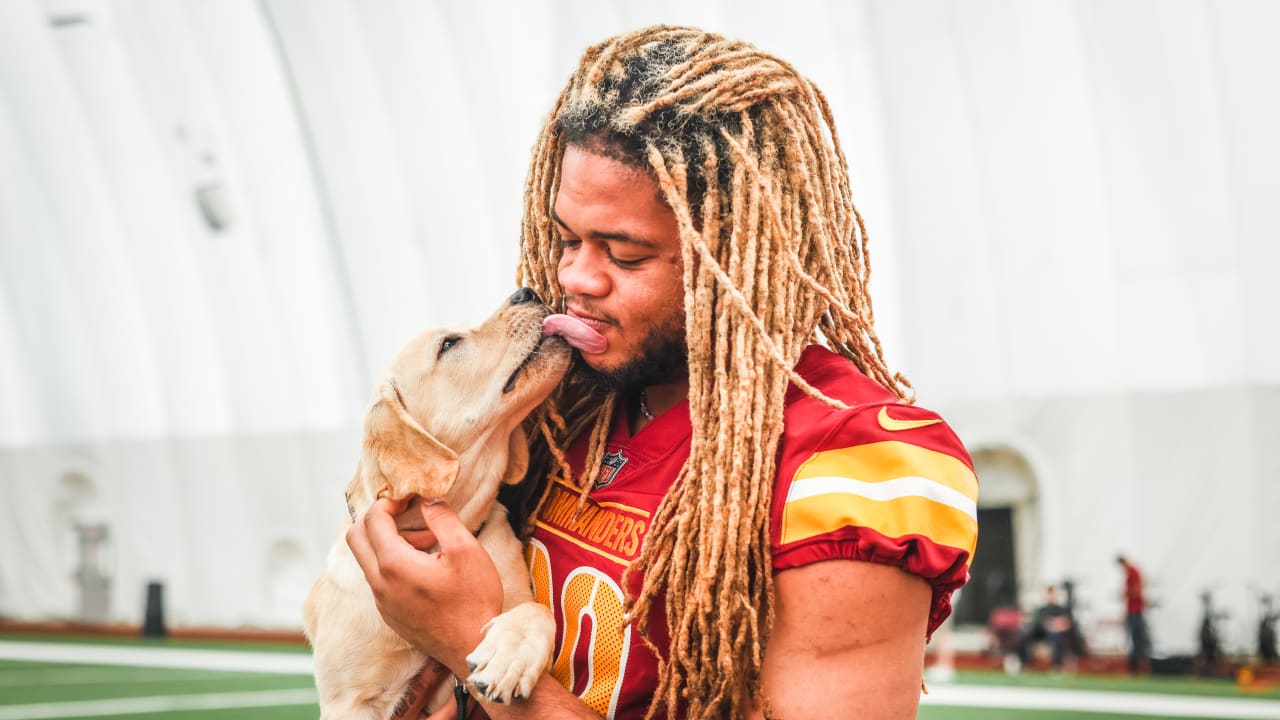 PHOTOS  Introducing Washington's newest team dog, Goldie