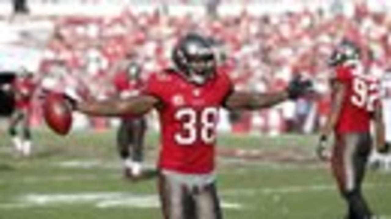 38, Dashon Goldson  Nfl players, Football helmets, Football